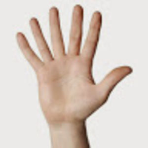 Meet your Posher, Todd